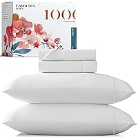 Carressa Linen 100% Egyptian Cotton Queen White Sheet Set - 1000 Thread Count 4 PC Cotton Sheets for Queen Bed, Silky Soft, Cooling Extra Long Staple Luxury Hotel Sheets - Fits Upto 18” Deep Pocket