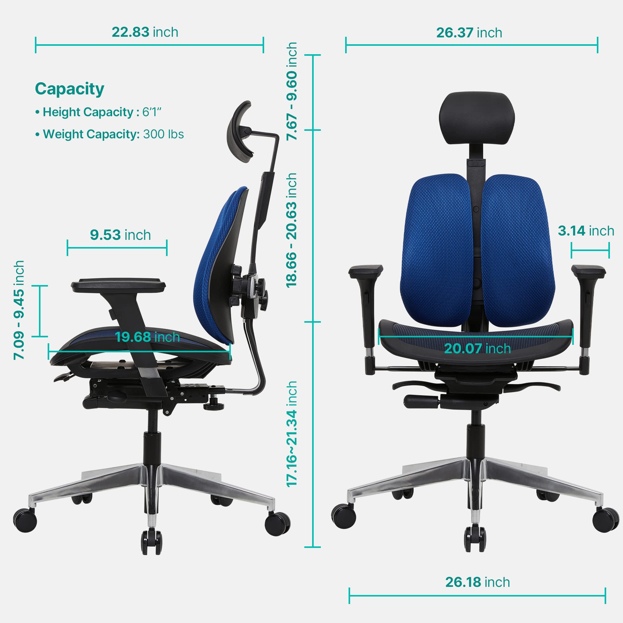 Mua Duorest [Dual-Backrests] Alpha - Ergonomic Office Chair, Best Office  Chairs for Long Hours, Best Office Chair for Lower Back Pain, Chair Good  for Back, Office Chair Lumbar Support (Black/Blue) trên Amazon