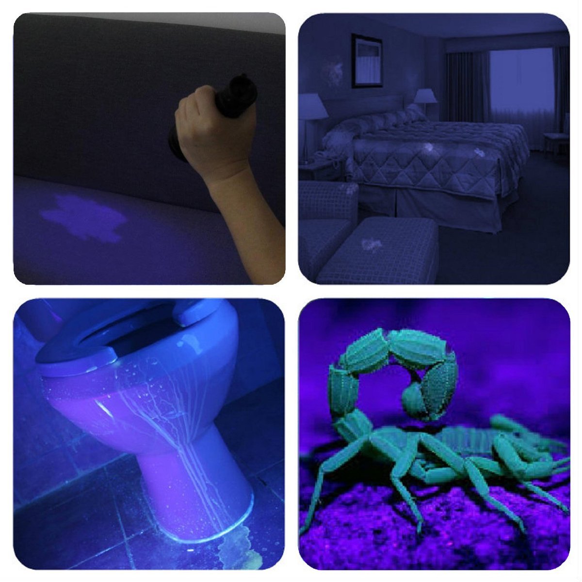 Vansky Black Light UV Flashlight, Blacklight 12 LED & 21 LED Urine Detector for Dog/Cat/Pet Urine & Dry Stains and Bed Bug On Carpets/Rugs/Floor,Matching with Pet Odor Eliminator