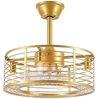 Dannilong Gold Caged Ceiling Fans with Lights, Modern 18 Inch Indoor Enclosed Bladeless Small Fandalier Ceiling Fan with Remote for Bedroom, Dining Room, Kitchen