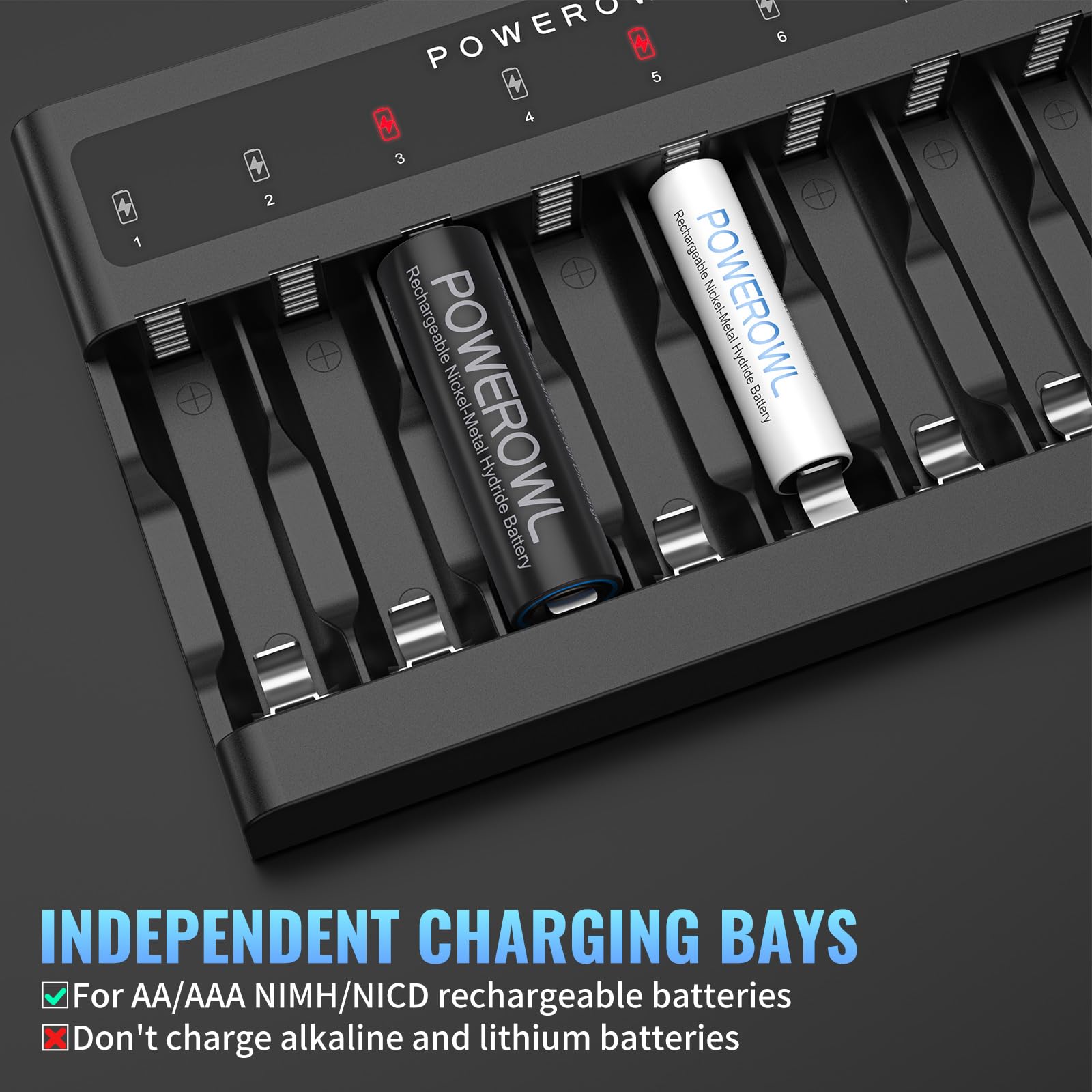 1000mAh Rechargeable AAA Batteries with Smart 8 Bay Battery Charger, Low Self Discharge Ni-MH Triple A Batteries, 8 Count