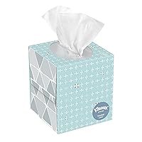 Trusted Care Everyday Facial Tissues, Cube Box, 55 Count (Pack of 27)