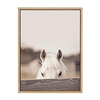 Sylvie Equine Framed Canvas Robert Cadloff of Bomobob, 18x24 Natural, Decorative Horse Art for Wall