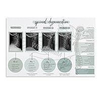 WENHUIMM Levels of Spinal Degeneration Chiropractors Spine Knowledge Guide Poster (6) Wall Poster Art Canvas Printing Poster Office Bedroom Aesthetic Poster Unframe-style 12x08inch(30x20cm)