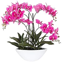 Potted Silk Faux Artificial Flowers Arrangement Realistic Pink Orchid in White Ceramic Oval Pot for Home Decoration Living Room Office Bedroom Bathroom Kitchen Dining 28
