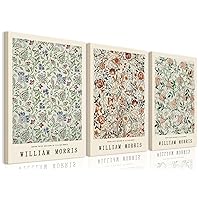 3pcs Framed William Morris Wall Art Botanical Flower Canvas Artwork Wall Decor Aesthetic Pictures Posters Decoration Living Room Office Home Prints Painting Ready To Hang (16x24in x3Pcs Framed)