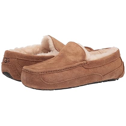 UGG Men's Ascot Slipper