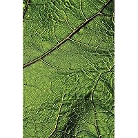 Leaf Veins Journal: Blank Notebook Diary Memoir Log Logue (Go Green 365 Lined)