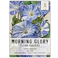 Seed Needs, Flying Saucers Morning Glory Seeds for Planting (Ipomoea Tricolor) Single Package of 100 Seeds - Heirloom & Untreated