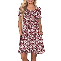 WNEEDU Women's Summer Casual T Shirt Dresses Short Sleeve Swing Dress with Pockets (L,Floral Red)