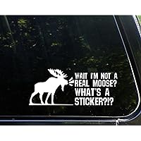Wait I'm Not A Real Moose? What's A Sticker?- 8-3/4