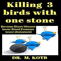 Killing 3 Birds with One Stone Killing 3 Birds with One Stone Audible Audiobook