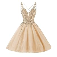 Short Tulle Homecoming Dresses for Teens Sparkly Lace Beaded Prom Dress for Juniors R039