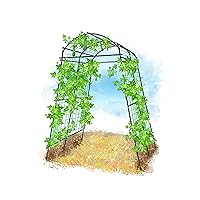 Garden Arch Trellis for Climbing Plants Outdoor, 7 ft Tall Squash Tunnel for Cucumber Vines Raised Bed - Lightweight Metal, Black