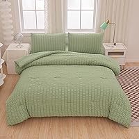 5 Pcs Sage Green Comforter Sets Queen Size for Girls Women Kids, Boho Light Green Bedding Set Queen Size,Soft Lightweight Microfiber Bed Set for All Season