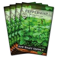 Sow Right Seeds - Peppermint Seeds for Planting - Non-GMO Heirloom Packet with Instructions for Easy Planting and Growing an Herbal Tea Garden - Indoors or Outdoor - Medicinal & Culinary (4)