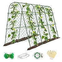 Cucumber Trellis for Raised Beds, 63 x 47 Inch Garden Arch Trellis for Climbing Plants Outdoors with Climbing Net, Detachable Cucumber Trellis Support for Tomato, Squash, Zucchini