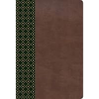 RVR 1960 Biblia de Estudio Scofield, verde oscuro/castaño símil piel con índice (Spanish Edition) RVR 1960 Biblia de Estudio Scofield, verde oscuro/castaño símil piel con índice (Spanish Edition) Imitation Leather Hardcover Paperback