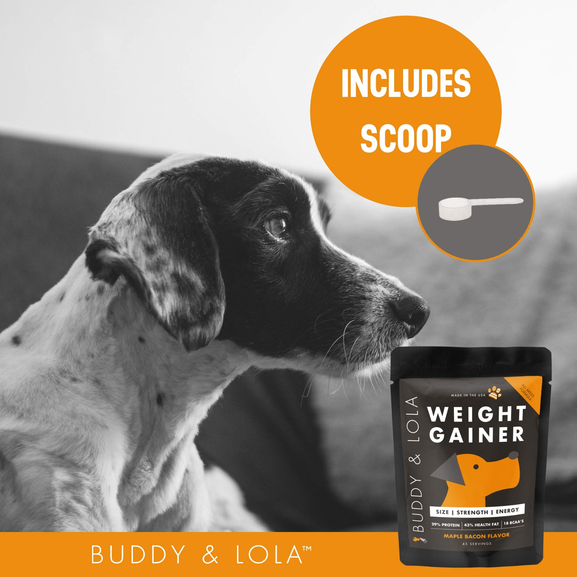Mua Buddy & Lola Dog Weight Gainer - Dog Supplement for Weight Gain - Dog  Protien Powder for Max Muscle Builder, High Calorie Supplement for All Dogs  & Breeds inc Bully. Pro
