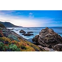 Seascape Photography Print (Not Framed) Picture of Colorful Succulents at Sunrise Along Pacific Coast near Big Sur California Coastal Wall Art Beach House Decor (4