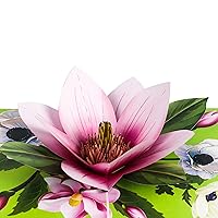 Pop Up Greeting Card Magnolia Flower- 3D Cards For Birthday, Anniversary, Mothers Day, Thank You Cards, Card for Mom, Congratulation Card, Love Card, All Occasion