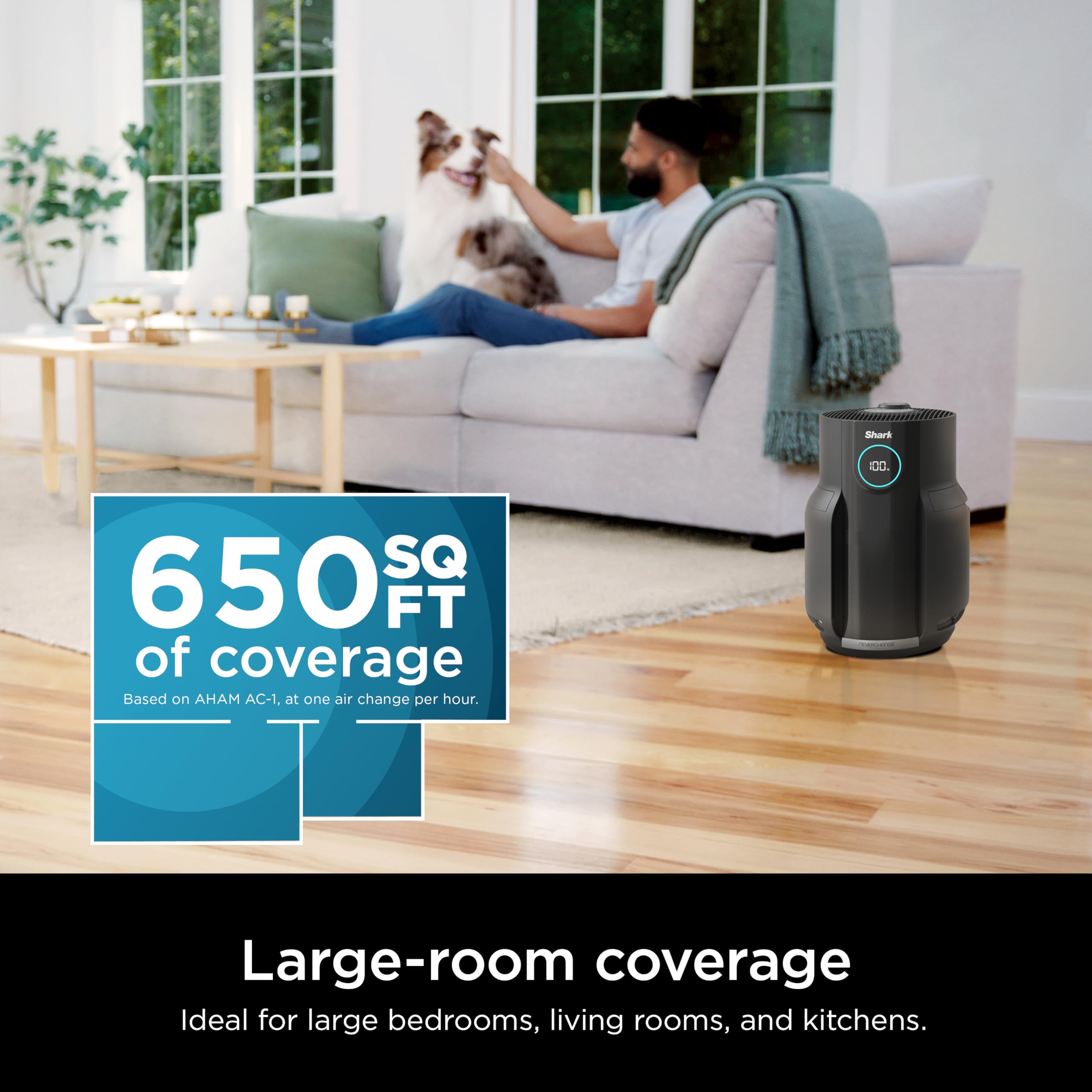 Shark HP152 NeverChange Air Purifier, 5-year filter, save $300+ in filter replacements, Large Room, 650sq. ft., Odor Neutralizer Technology, captures 99.98% of particles, dust, smells, Charcoal Grey