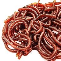 60 Pieces Fake Earthworm Faux Trick Toy Plastic Soft Stretchy Realistic Earthworms Simulated Fishing Lures Baits for Halloween Decoration