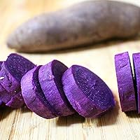 CHUXAY GARDEN Purple Sweet Potato Seed 20 Seeds Edible Vegetable High Germination Rat Survival Gear Food Seeds Great for Garden