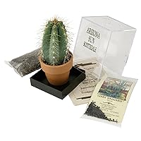 Grow Your own Saguaro Cactus Kit – Incubator – Cactus Seeds – Southwest Arizona Southwestern Gift Idea - Seed Propagation - Desert Souvenir