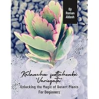 Kalanchoe fedtschenkoi 'Variegata': Unlocking the Magic of Desert Plants, For Beginners
