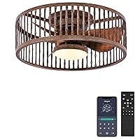 Ceiling Fan with Light Remote Control - 20 Inch Farmhouse Low Profile Caged Ceiling Fan, Bladeless, 6 Speeds, Reversible, Rustic Small Flush Mount Fandelier for Bedroom Kitchen