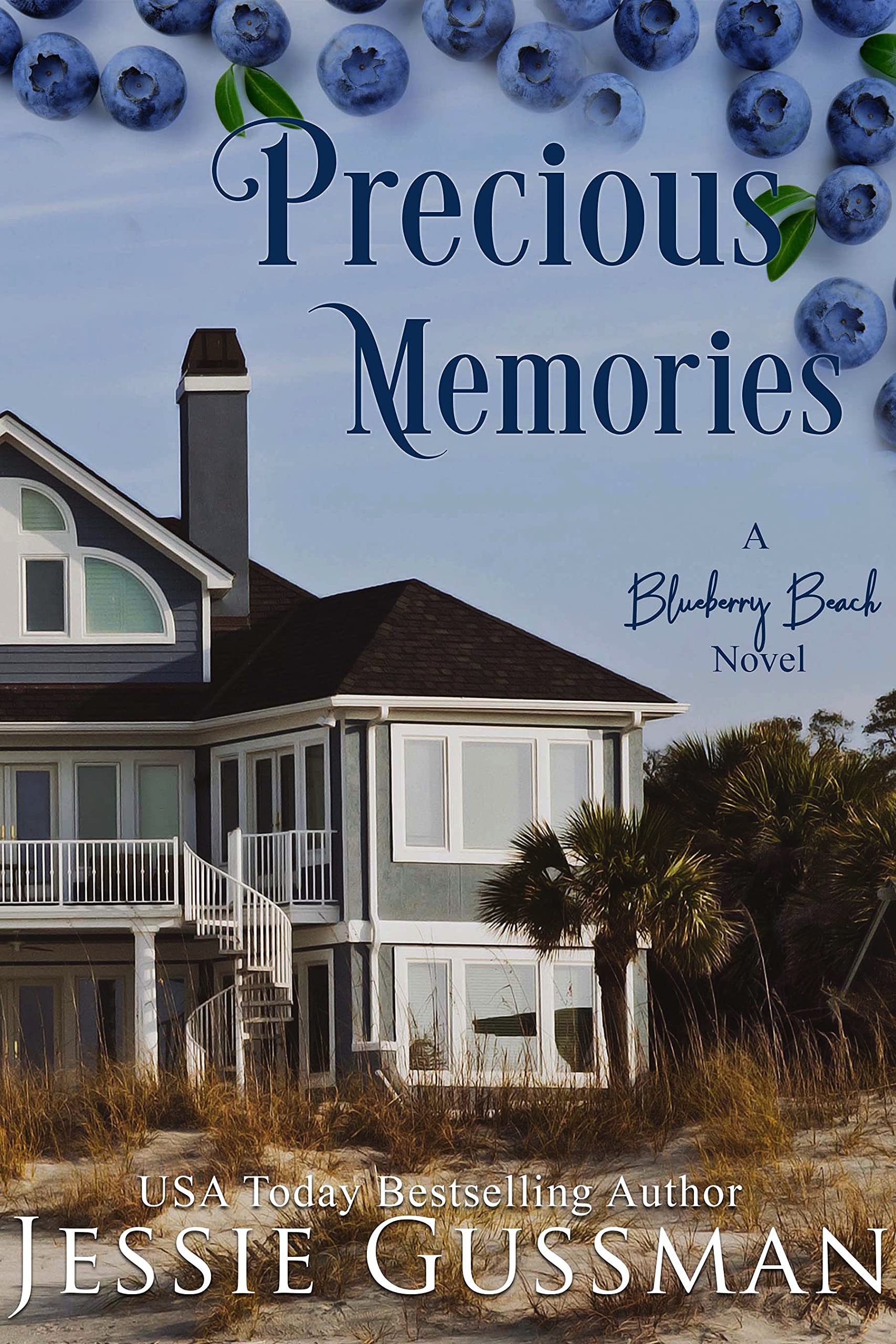 Precious Memories (Blueberry Beach Book 4)