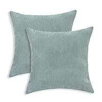 CaliTime Throw Pillow Covers Pack of 2 Ultra Soft Solid Color Corduroy Striped Decorative Cushion Cases for Couch Bed Sofa 18 X 18 Inches Duck Egg