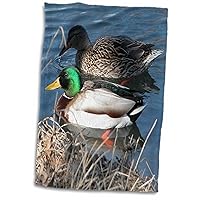 3D Rose Mallard Duck Couple Towel, 15 x 22