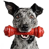 Pet Qwerks Bongo BarkBone - Nylon Dog Bone for Aggressive Chewers - Prime Rib Flavor - Medium