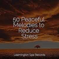 50 Peaceful Melodies to Reduce Stress 50 Peaceful Melodies to Reduce Stress MP3 Music
