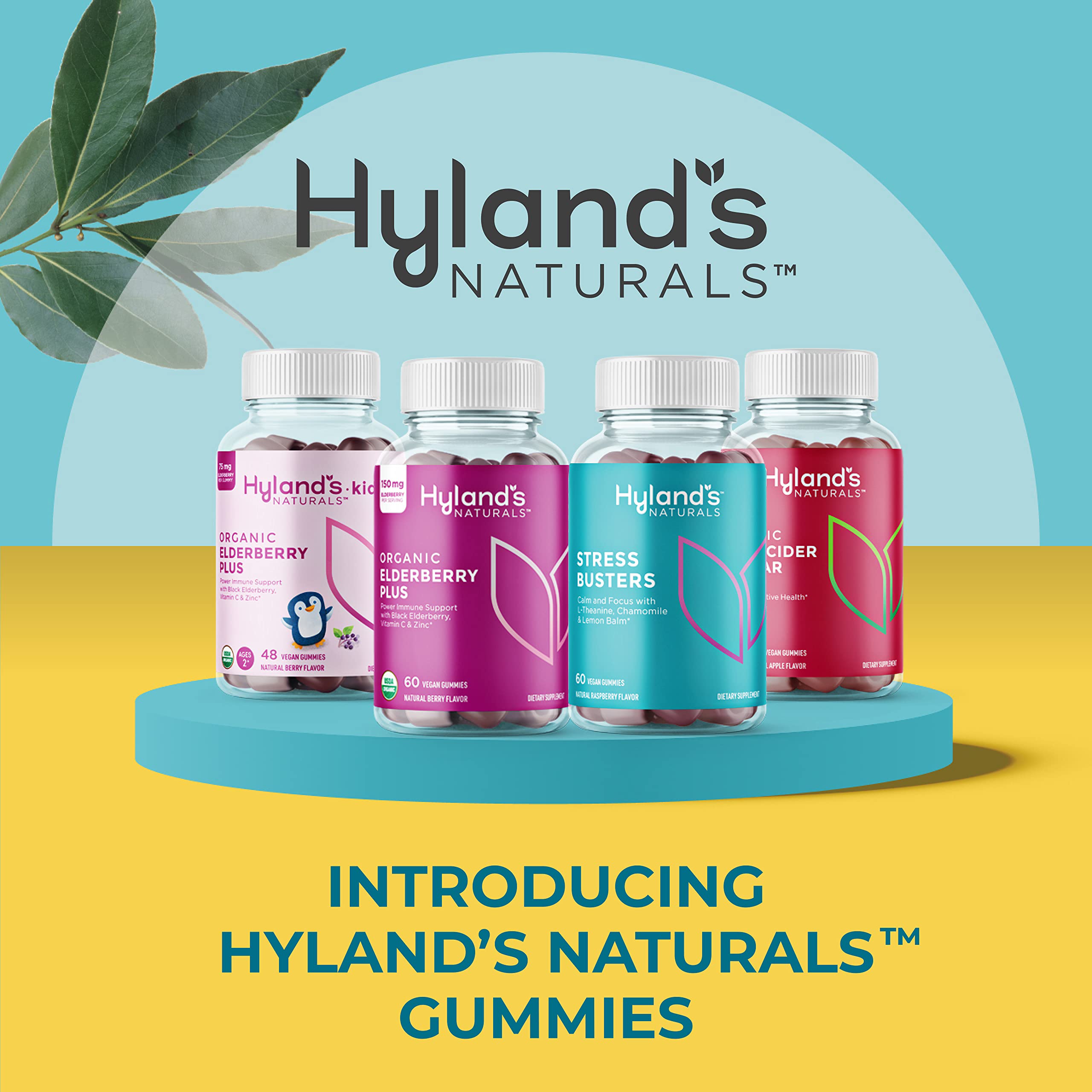 Hyland’s Naturals Stress Busters Gummies, Calm and Focus with L-Theanine, Chamomile and Lemon Balm, 60 Vegan Gummies (30 Days)