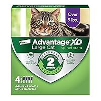 Advantage XD Large Cat Flea Prevention & Treatment For Cats over 9lbs. | 4-Topical Doses, 2-Months of Protection Per Dose