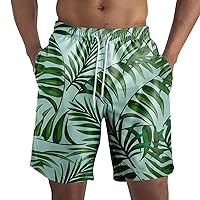 Mens Swim Shorts Quick Dry Beach Shorts Summer Loose Fit Swimwear Bathing Suits with Pockets Hawaii Tropical Shorts