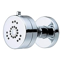 Danze D460258 Parma Two Function Wall Mount Body Spray, 1.5 GPM, Chrome