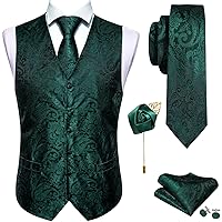 Barry.Wang Mens Paisley V-neck Suit Vest Formal/Leisure Silk Jacquard Waistcoat Tie Set 5PCS
