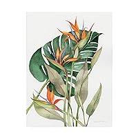 Trademark Fine Art Botanical Birds of Paradise by Kathleen Parr McKenna, 18x24, Multiple