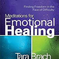 Meditations for Emotional Healing: Finding Freedom in the Face of Difficulty Meditations for Emotional Healing: Finding Freedom in the Face of Difficulty Audible Audiobook Audio CD