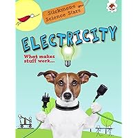 Electricity: What Makes Stuff Work? (Stickmen's Science Stars)