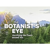 The Botanist's Eye: Identifying the Plants around You