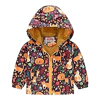 Toddler Boys Winter Coat Toddler Boys Girls Casual Jackets Printing Cartoon Hooded Outerwear Coat for Kids