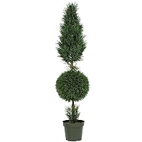 Nearly Natural 5ft. Cypress Ball and Cone Silk Tree (Indoor/Outdoor)