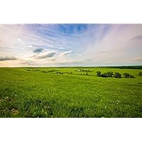 Great Plains Photography Print (Not Framed) Picture of Tallgrass Prairie on Spring Day in the Kansas Flint Hills Prairie Wall Art Nature Decor (5