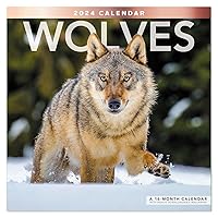 2024 Wolves Monthly Wall Calendar, 16 Months, 12