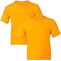 Gildan Youth DryBlend T-Shirt, Style G8000B, 2-Pack